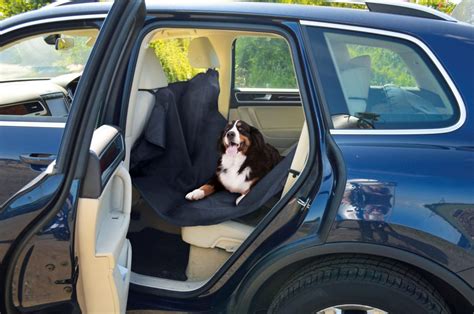 The Best Dog Car Accessories - Halfords