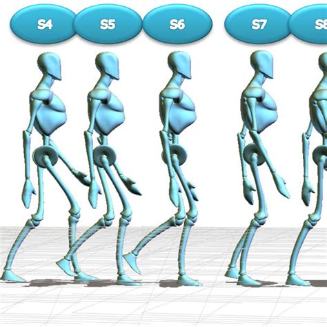 Internal gait phases of human normal gait cycle. | Download Scientific ...