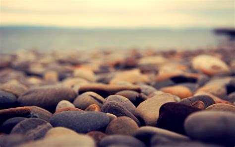 Beautiful rocks from the beach - Macro HD wallpaper Wallpaper Download 5120x3200