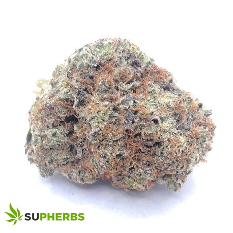 Platinum Garlic Strain - Supherbs - Canada Weed Delivery