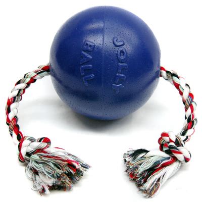 Jolly Pets Romp-N-Roll Jolly Ball - Care-A-Lot Pet Supply