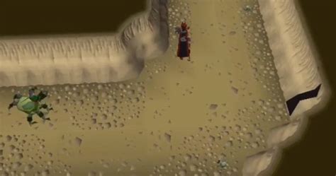 10 Best Agility Shortcuts in Old School RuneScape – FandomSpot