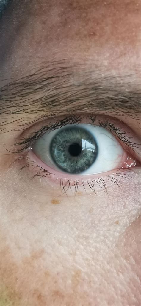 Greyish Blue today : r/eyes