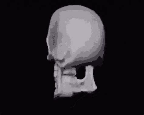 Esqueleto Skeleton GIF - Esqueleto Skeleton Meme - Descubrir y compartir GIFs