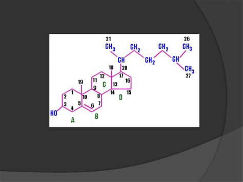 cholesterol synthesis | PPT