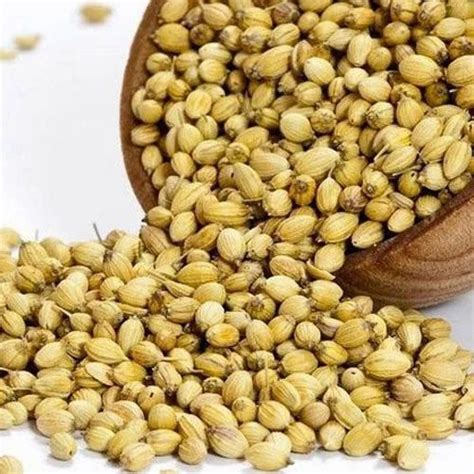 Dhaniya Seed, Packaging: 1 kg at Rs 63/kilogram in Jaora | ID: 20425921633