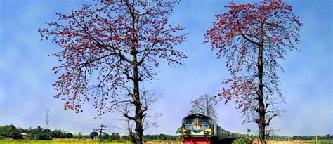 Bangladesh Train Schedule and Railway Route Map PDF - Bproperty