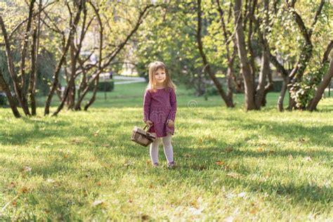 Portrait of Little Girl Child on the Grass in Sunny Summer Day Stock ...