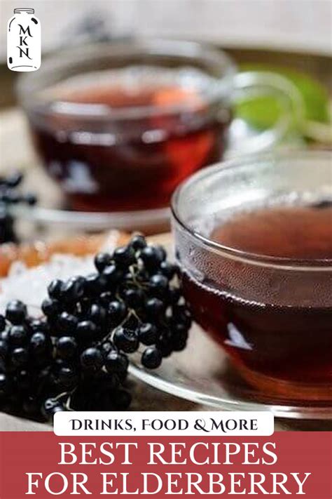 29 of the BEST Elderberry Recipes (Dried Elderberry Recipes) - Melissa K. Norris