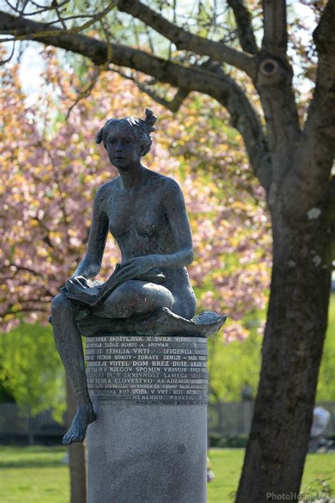 Image of Navje Cemetery & Culture Park | 1019092