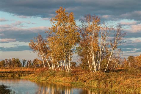 Crex Meadows at Sunset Photograph by Patti Deters - Pixels