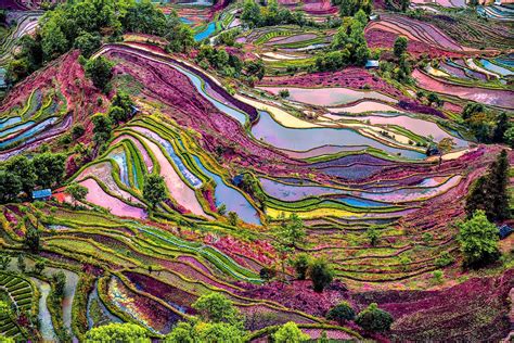 an aerial view of colorfully colored rice terraces in the mountains, with trees and water