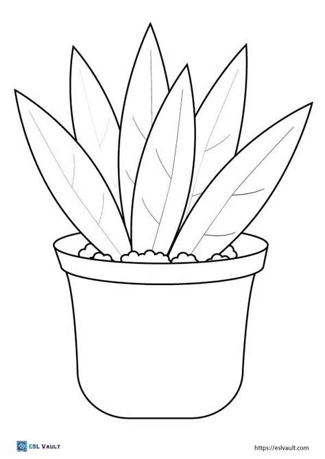 20 Free printable plant coloring pages - ESL Vault