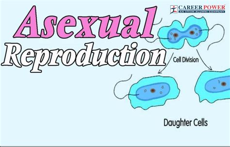 Asexual Reproduction: Types, Examples and Advantages