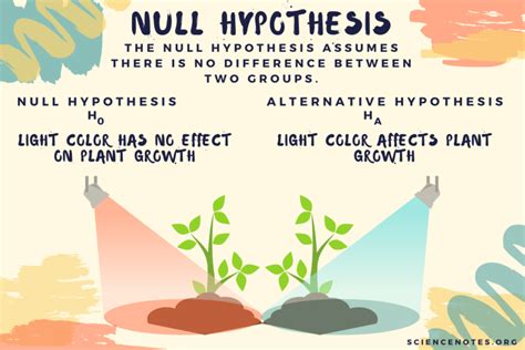 Null Hypothesis Examples