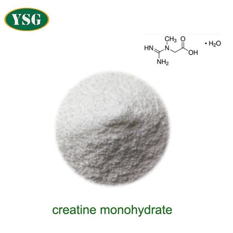 Bulk Creatine Monohydrate Powder - YSG