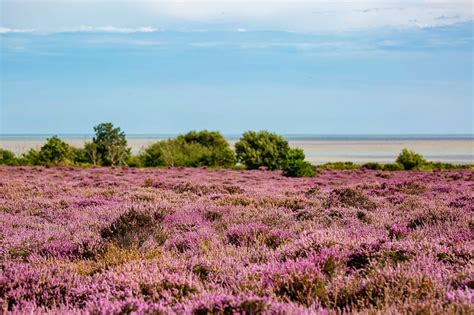 11 Best Coastal Walks in the United Kingdom - Where Are the Best ...