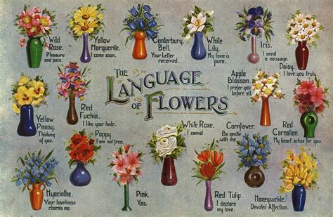 Flower Names And Their Meanings