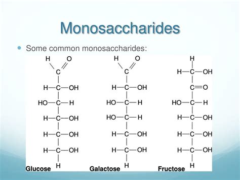 PPT - The Origin and Chemistry of Life PowerPoint Presentation, free download - ID:281589