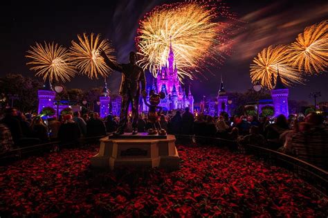 Disney World News: Magical Express Change, Off-Season Hours, Fireworks ...