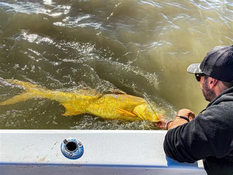 Best Locations to Catch Big Fish in Queensland - Fishing and Boating ...