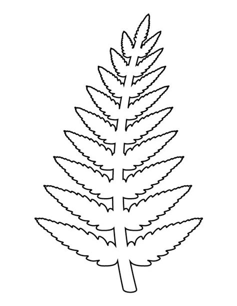 Fern Coloring Page at GetColorings.com | Free printable colorings pages to print and color