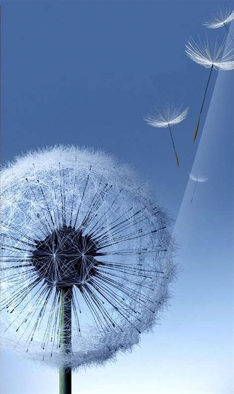 Galaxy SIII Dandelion Live Wallpaper