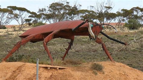 Saved from the scrap yard, a giant cockroach moves into Adelaide's ...