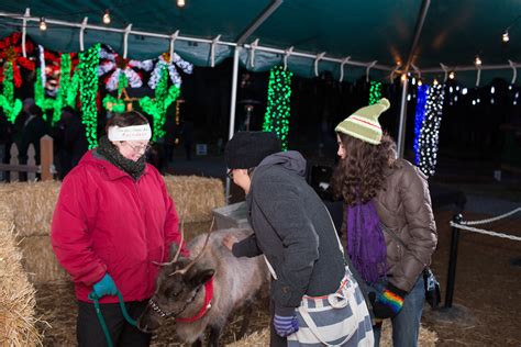 Oregon: Magic and Tradition Mix at Christmas in the Garden Event