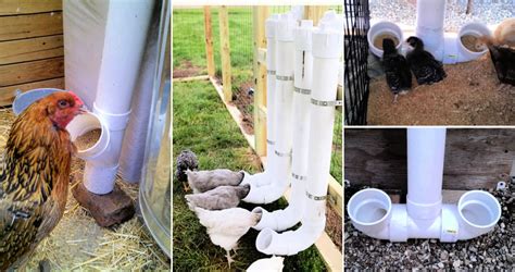 Diy Auto Chicken Waterer