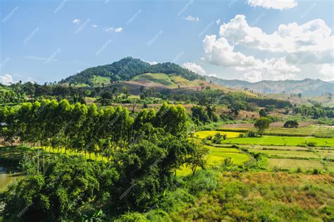 Premium Photo | Landscape mountain and river