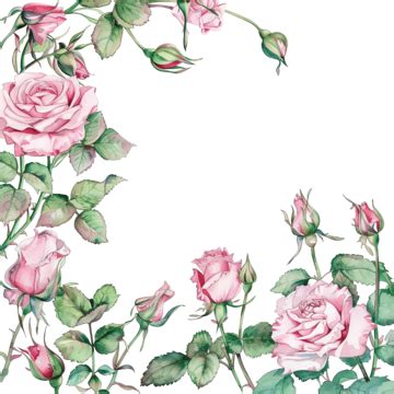 Wedding Stationary With Pink Watercolor Roses, Wedding, Stationery, Rose PNG Transparent Image ...