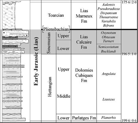 Common cycle types in the study area: peritidal cycles and sub-tidal... | Download Scientific ...