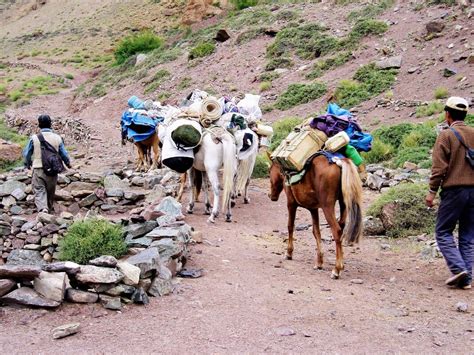 Trekking & Tours In Ladakh