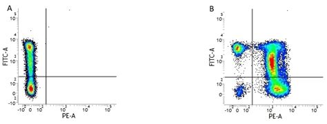 Anti Human CD2 Antibody, clone RPA-2.10 | Bio-Rad