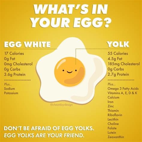 The benefits of egg yolks