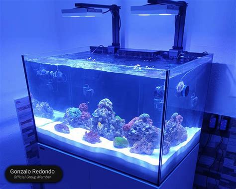 Waterbox Aquariums REEF