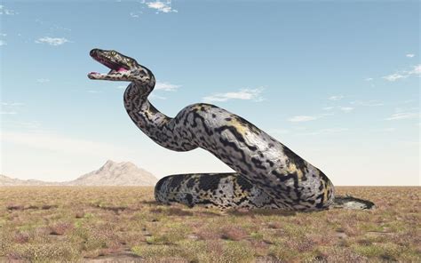 Colossal snake fossil unearthed in Gujarat from 47 million years ago could be world’s largest