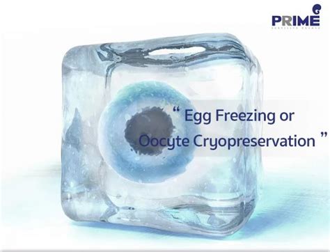 Egg Freezing or Oocyte Cryopreservation | Prime Fertility Center