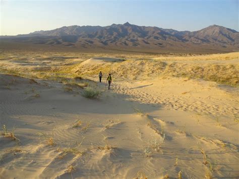 Mojave National Preserve | Find Your Park