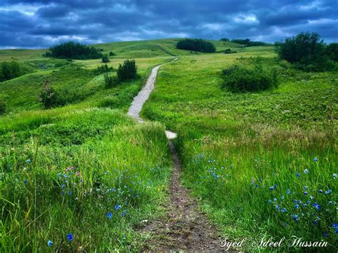 Fourth Largest Urban Park in Canada - Nose Hill Park, Calgary : r/canada