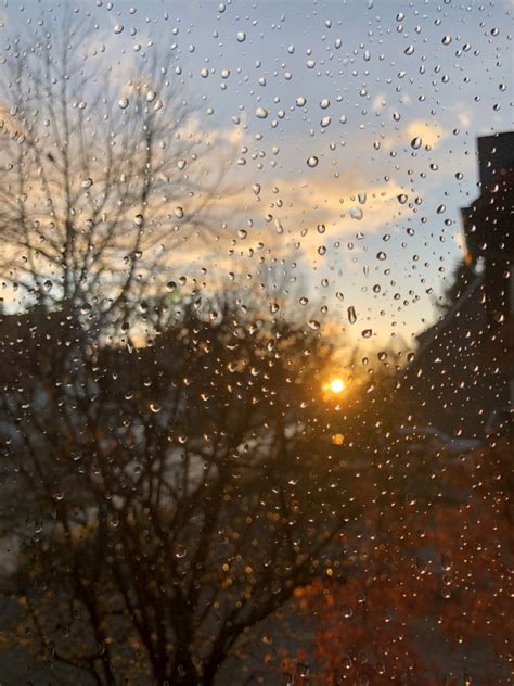 Raindrops on Window with Sunlight