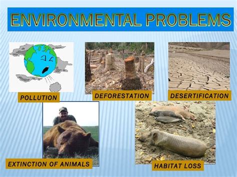 Environmental problems and solutions