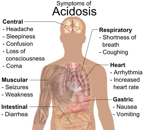 Body Fluid-Related Diseases and Disorders | Boundless Anatomy and Physiology
