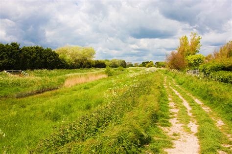 Countryside Trail, Sussex, England Free Stock Photo - Public Domain ...