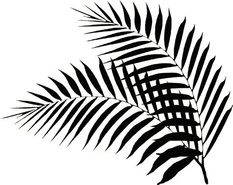 Palm Leaf Drawing at GetDrawings | Free download