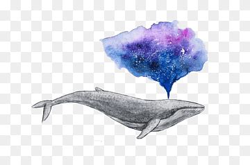 Free download | Gray shark illustration, Watercolor painting Drawing Whale Art, Water whale ...