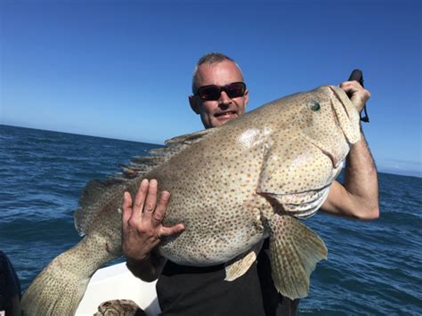 Cairns Fishing Charter Guide For Reef Fishing - Queensland - Great Barrier Reef