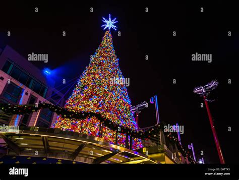 NATIONAL HARBOR, MARYLAND - DECEMBER 2: Christmas tree at night on ...