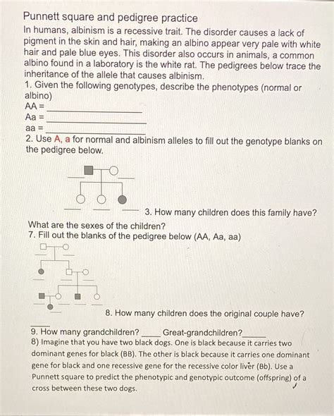 [Solved] Punnett square and pedigree practice In humans, albinism is a... | Course Hero